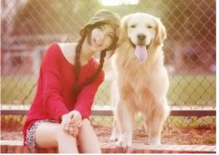 如何更好的和汪星人相處？