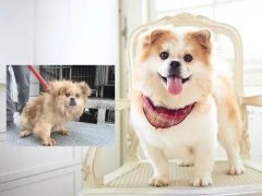 沒有誰，天生丑陋。