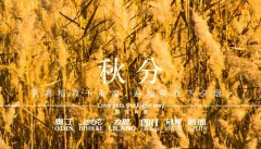 秋分丨晝夜分畫，漸入秋華